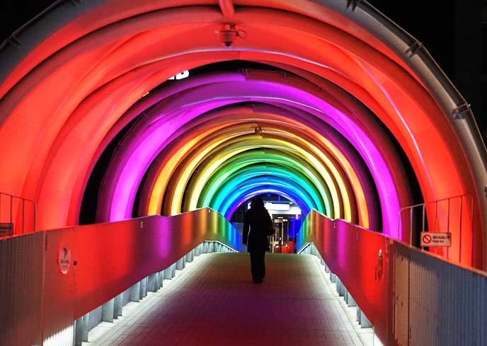 odaiba rainbow bridge, lights