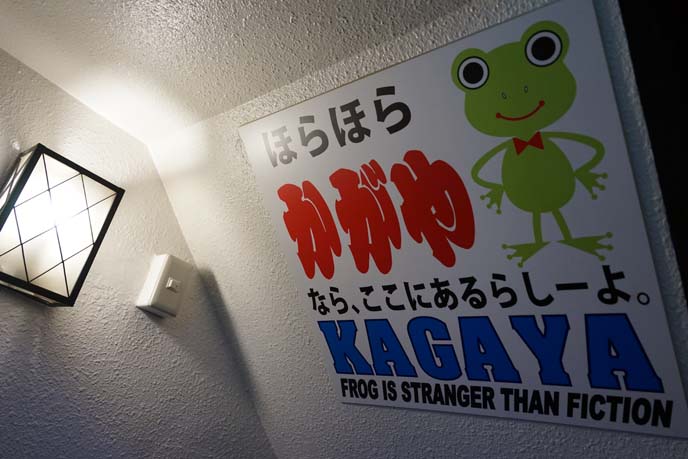 kagaya izakaya, frog costume