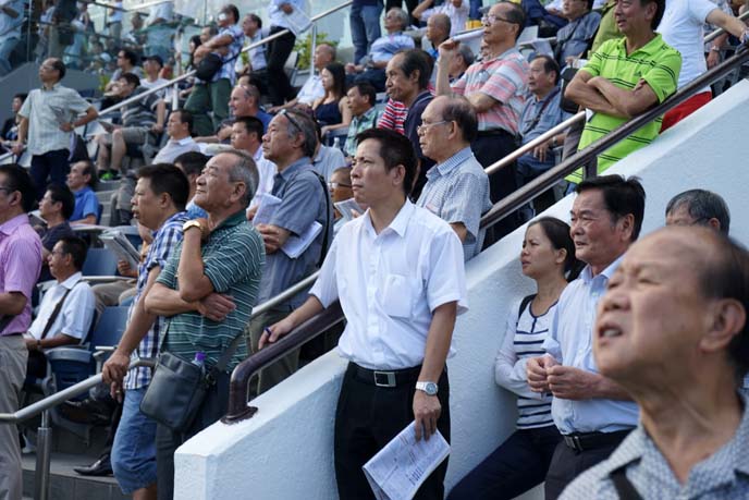 hong kong horse race spectators