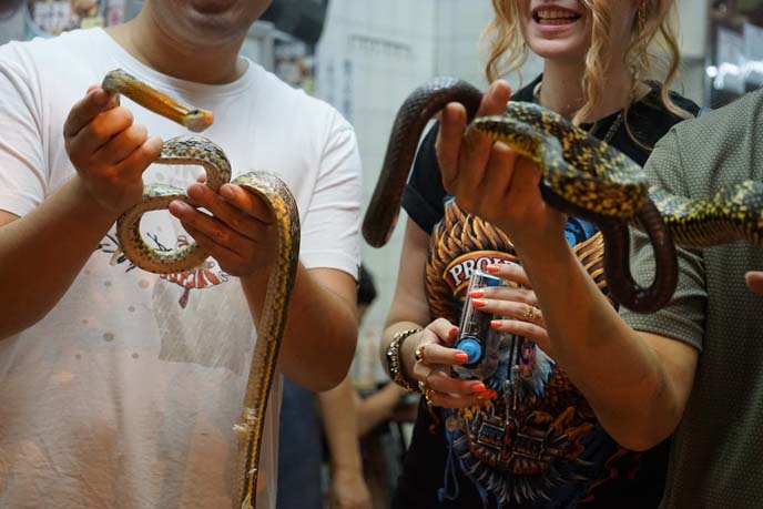 snake soup restaurant hong kong