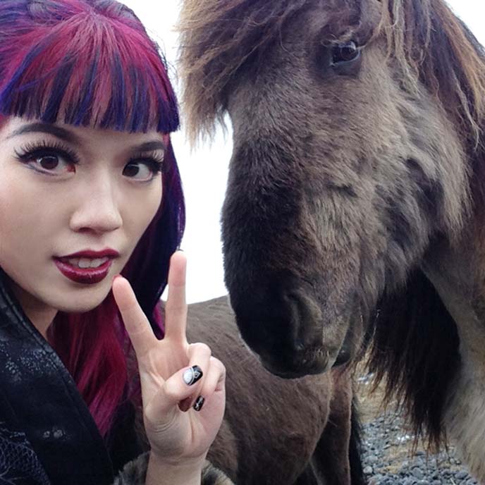 iceland horse selfie, icelandic horses