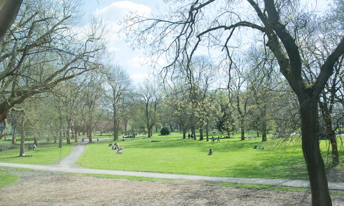 whitworth park manchester 