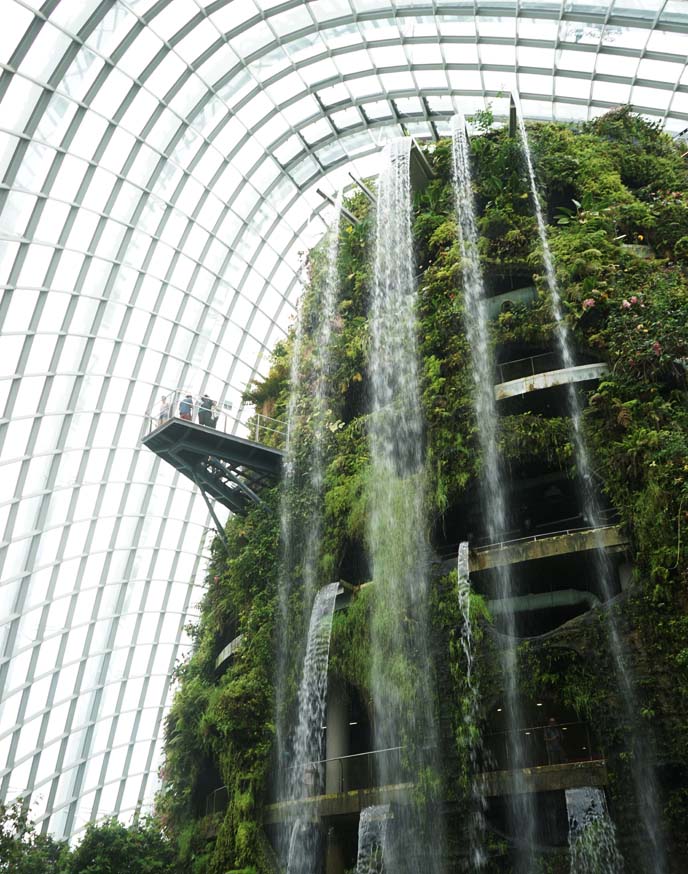 singapore cloud forest waterfall