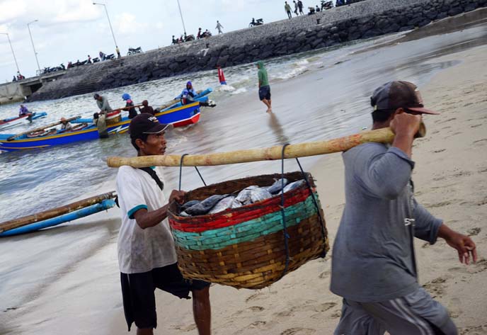 fishermen indonesia, fish basket