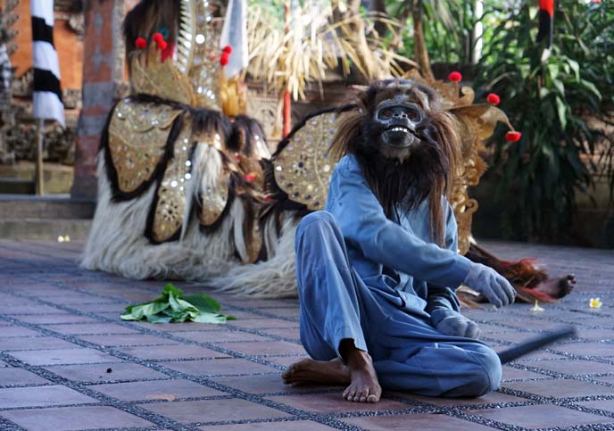 barong monkey mask, dancer