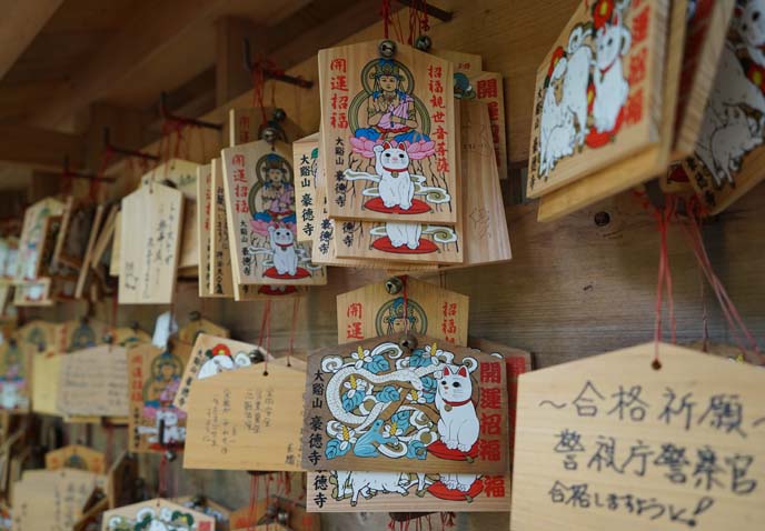 buddhist worship cat ema boards