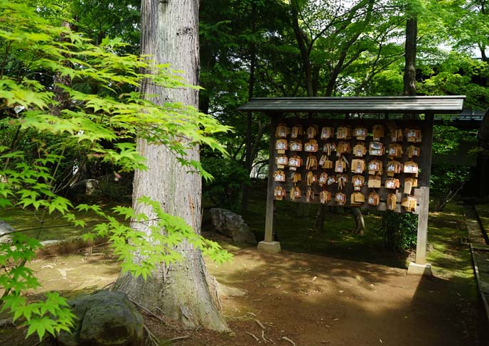 buddhist prayer boards