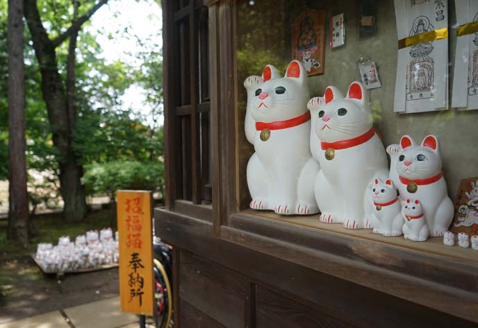 gotokuji maneki neko statues