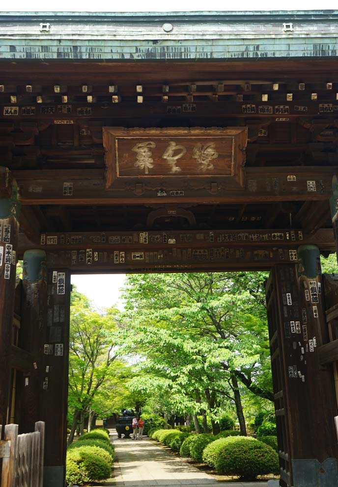 gate entrance gotokuji shrine