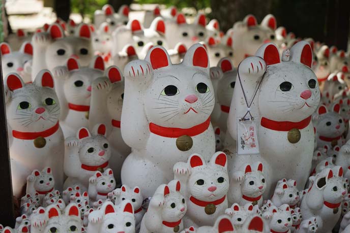 tokyo cat temple, thousands cats statues