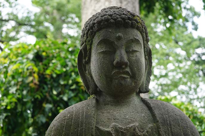 buddha statue gotokuji