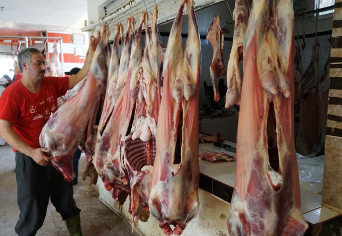 hanging racks lamb morocco