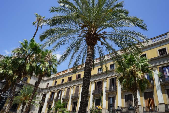 Plaça Reial, barcelona famous square