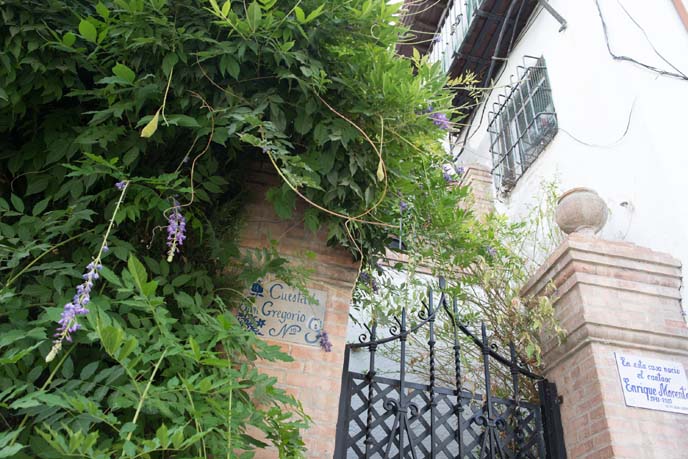 spanish gardens, flowers