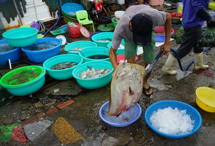 fish market vietnam