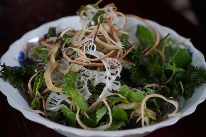 vietnamese salad