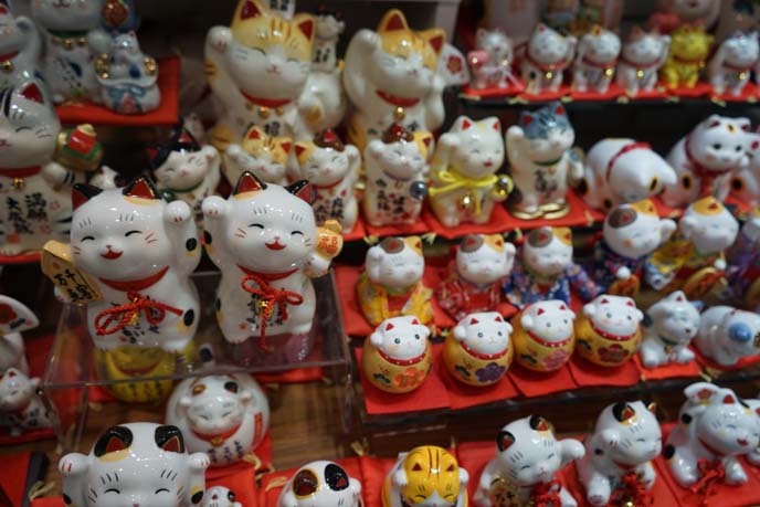 maneki neko largest cat collection