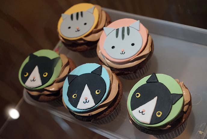 cat cafe cupcakes, menu