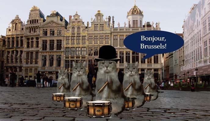 brussels tourism board surreal cats