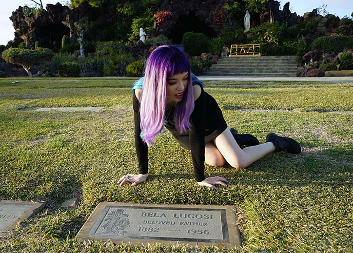 dracula tombstone, bela lugosi dead