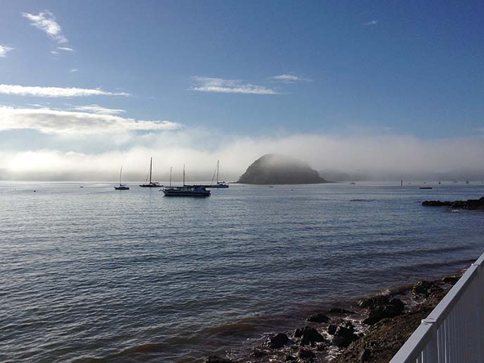 pure new zealand, ocean mist