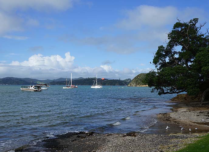 new zealand vacation town paihia