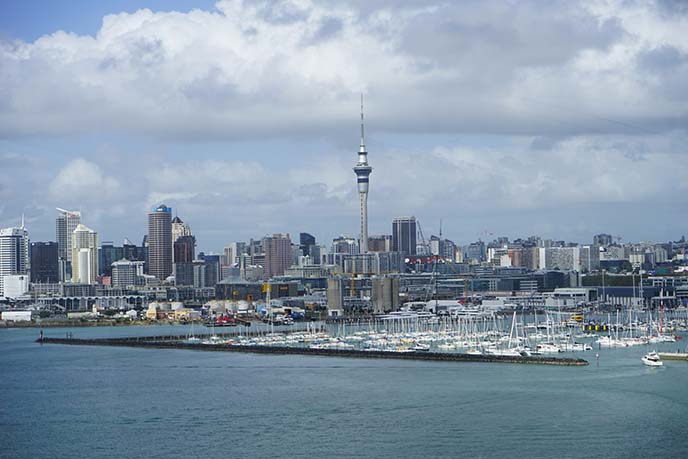 auckland skyline, sky tower