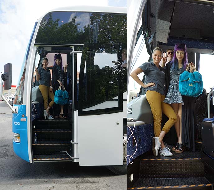 contiki driver, millennial bus tours