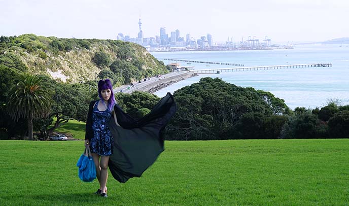 auckland new zealand viewpoint