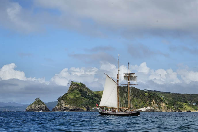 new zealand sailing, ship tours