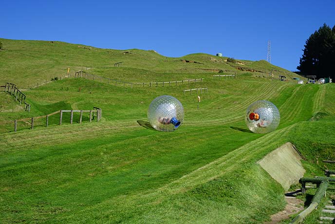 ogo zorb rotorua ball