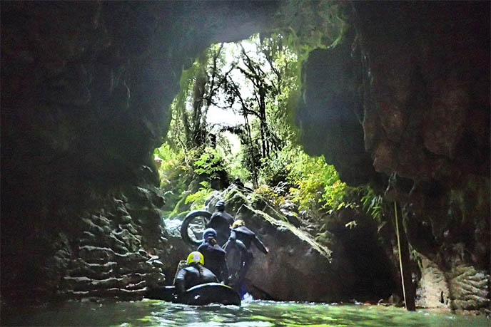 blackwater rafting, waitomo nz