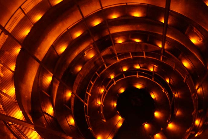 ruakuri cave tour spiral stairs