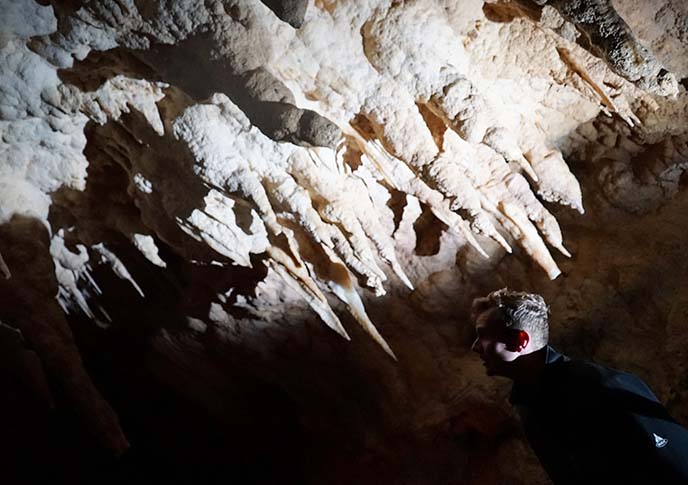 stalactites, waitomo caves