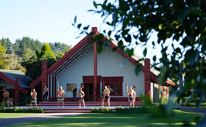 te puia maori park