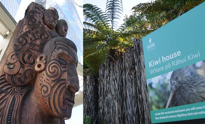 maori carvings, kiwi house