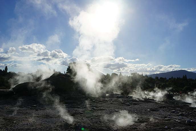 Pohutu Geyser, te puia