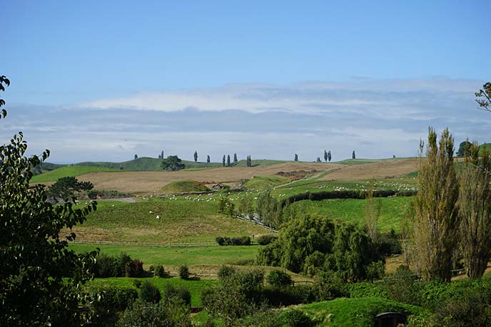 the shire landscape hobbit