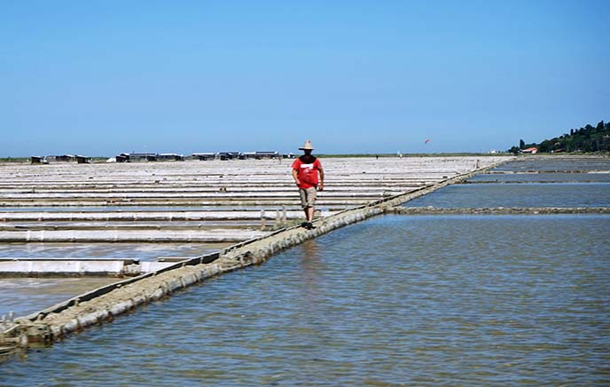 Piranske Soline, salt flats slovenia