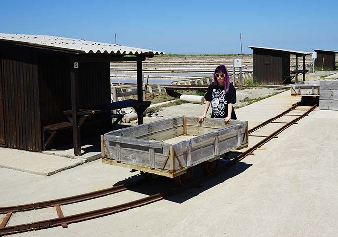 Sečovlje Saltworks