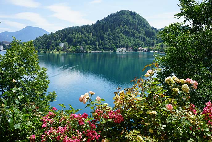 slovenia nature, flowers