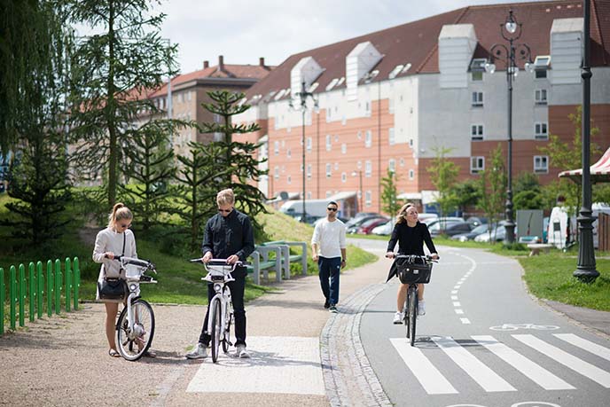 riding bicycles copenhagen