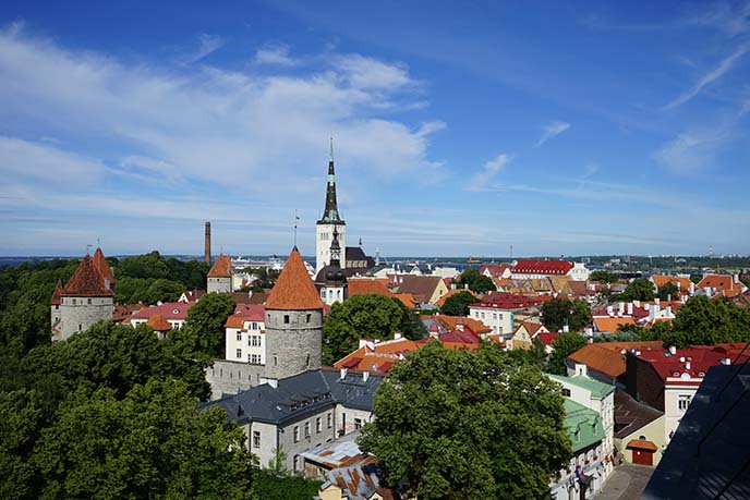 tallinn estonia red roofs, skyline