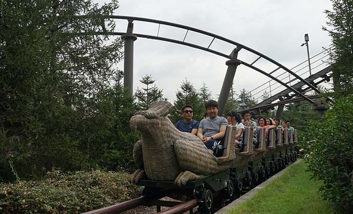 harry potter roller coaster, flight of hippogriff