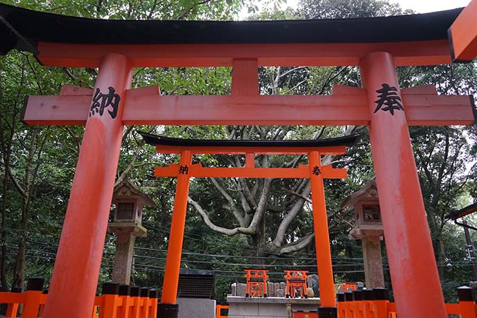 Kyoto, Fushimi-Inari-Taisha Shrine