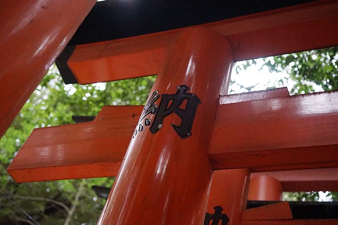 fushimi shrine kyoto 伏見稲荷大社