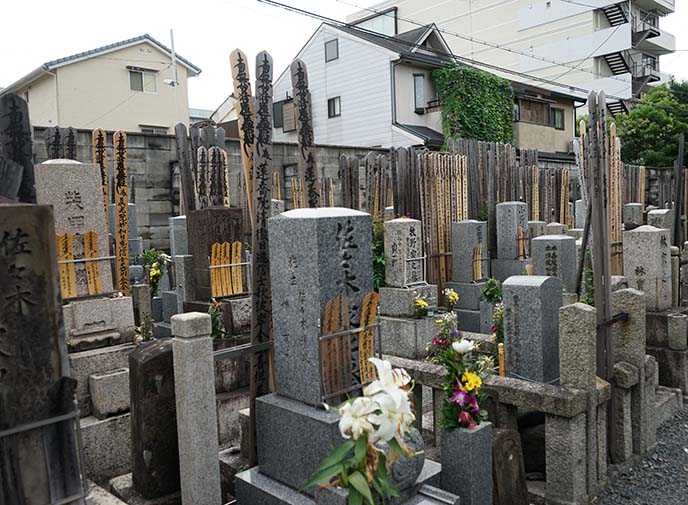 japanese shrine graveyard, tombs