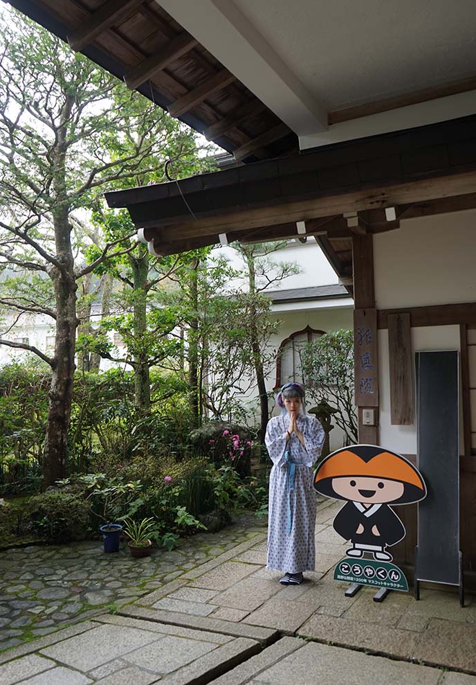 koya-kun mascot mount koya