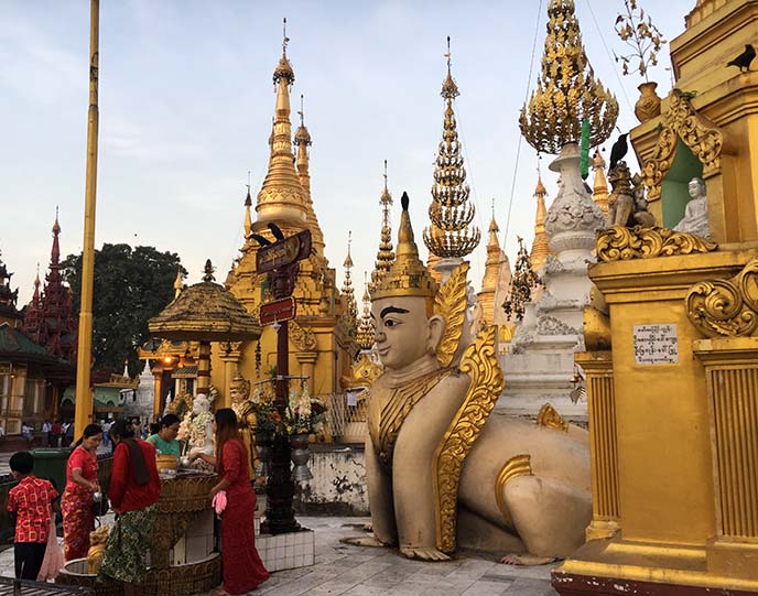 burmese lion statues, cinthes