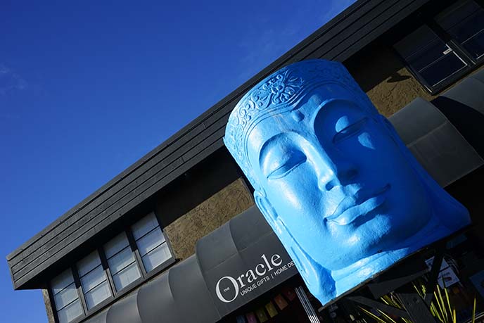 oracle occult store, blue buddha statue